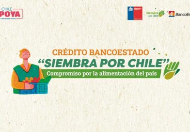 Ministerio de Agricultura y BancoEstado anuncian que crédito Siembra por Chile otorgado a agricultores se ha triplicado  