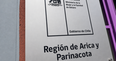 SernamEG Arica y Parinacota presentará la primera querella de oficio por femicidio consumado