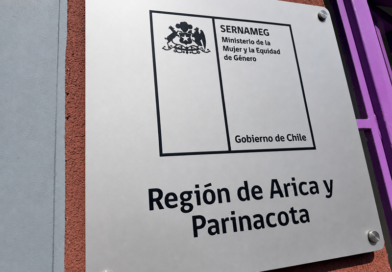 SernamEG Arica y Parinacota presentará la primera querella de oficio por femicidio consumado