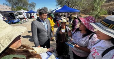 Gobierno en Terreno acerca servicios públicos y beneficio del gas a familias de Pampa Algodonal en Azapa