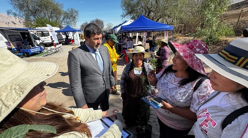 Gobierno en Terreno acerca servicios públicos y beneficio del gas a familias de Pampa Algodonal en Azapa